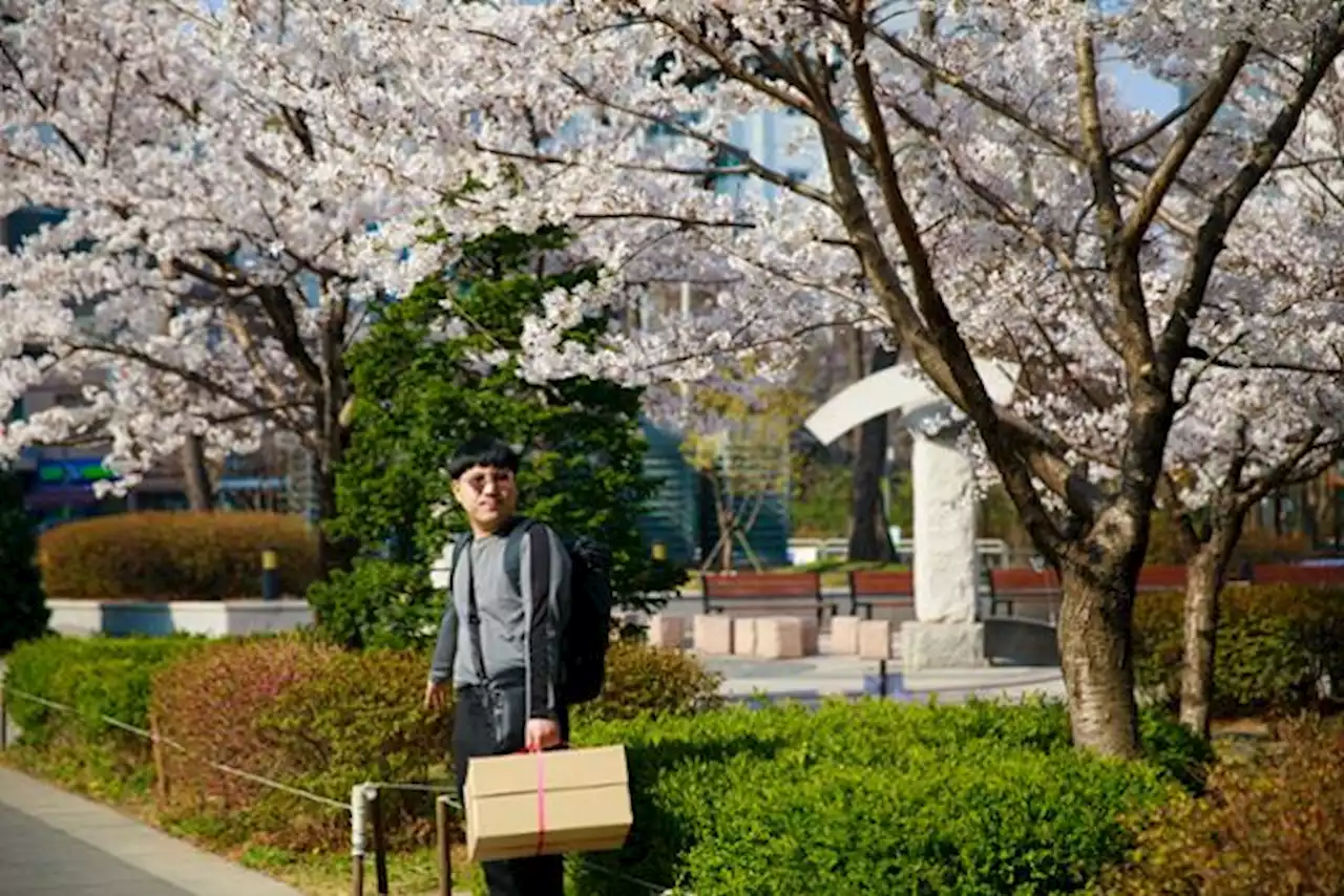 '왕복 세시간 출퇴근하는 발달장애 아들, 월급으로 밥도 사줘요'