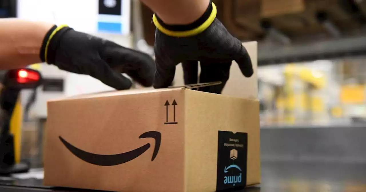 Resilient Amazon beats revenue forecasts