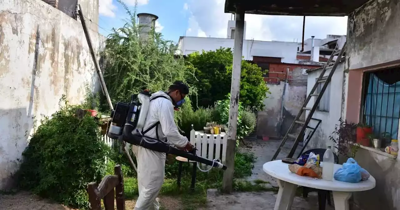 Los casos de dengue en Córdoba ya se elevan a 5.473 positivos | Ciudadanos | La Voz del Interior