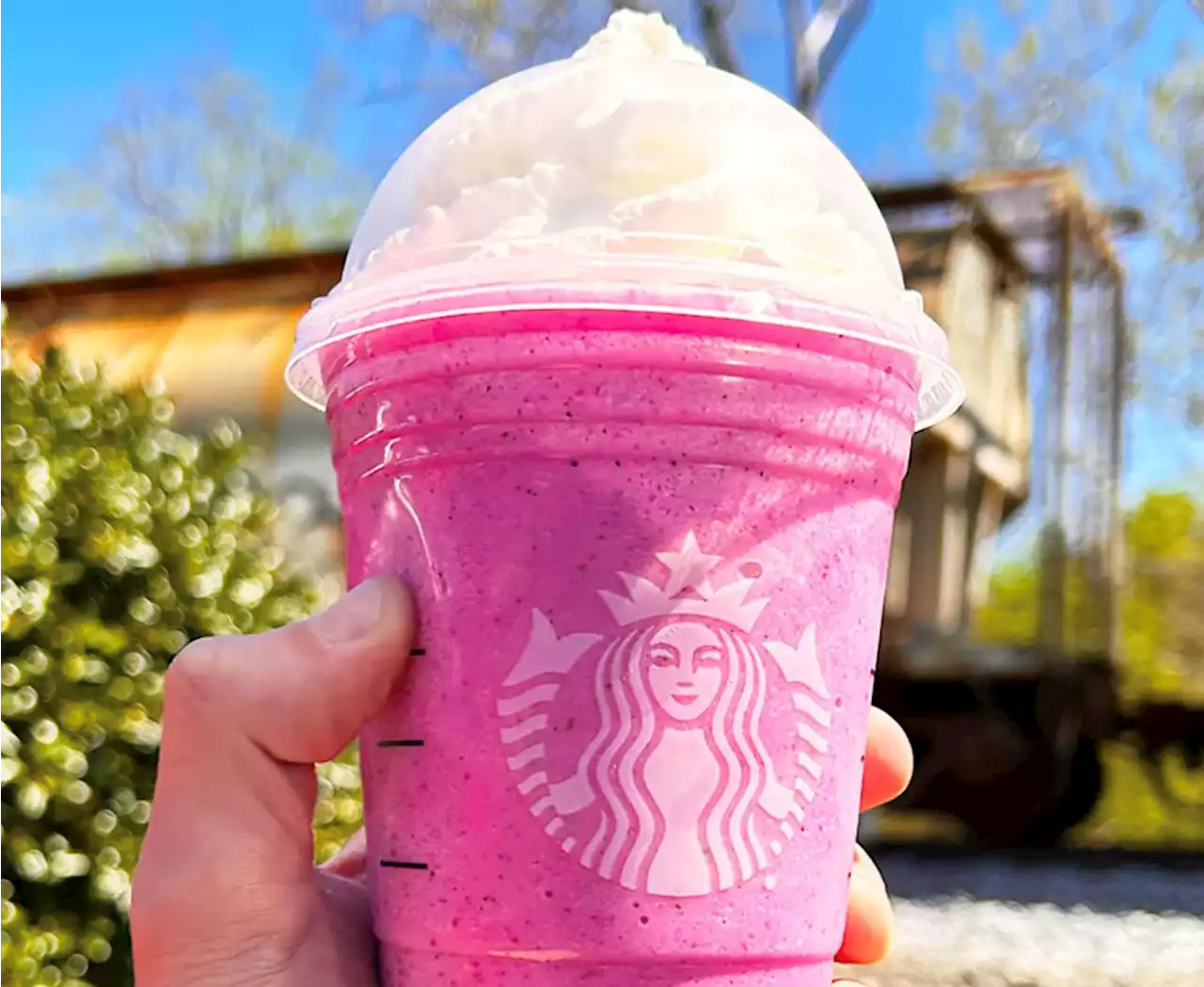 Barbie cream: la refrescante bebida de Starbucks