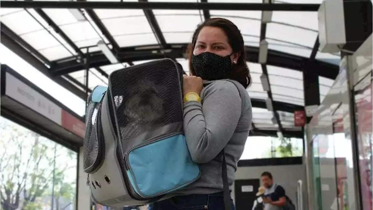 Cómo transportar a tu mascota en el Metrobús de la CdMx