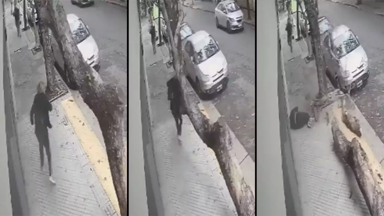 [VIDEO] Mujer sufrió un fuerte golpe en la cabeza por un árbol seco que se cayó