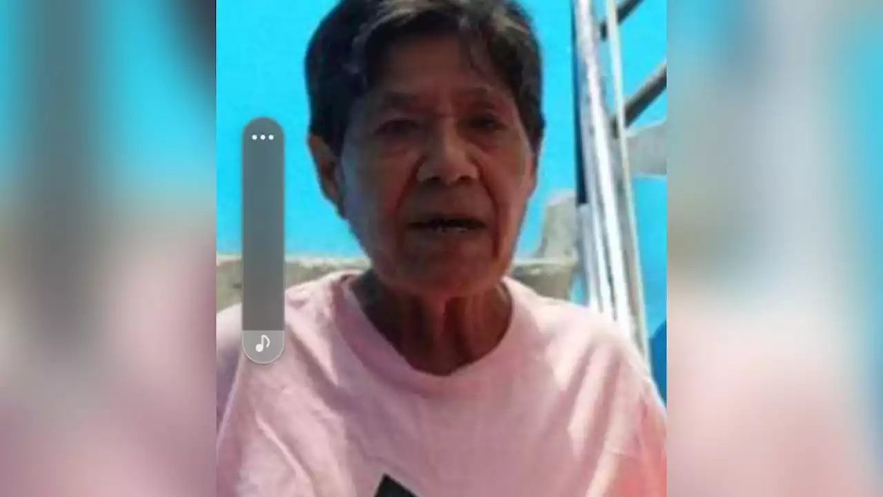 Intensa búsqueda de Felicitas Cherres, la mujer de 72 años desaparecida tras el derrumbe de Floresta