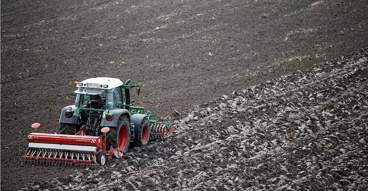 Landwirtschaftliche Einkommen 2022 um ein Fünftel gestiegen