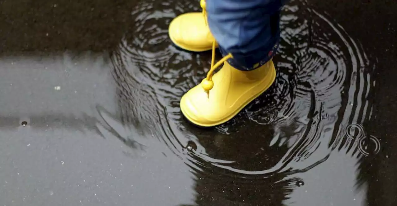 Warum das Regenwetter nicht gegen die Klimakrise spricht