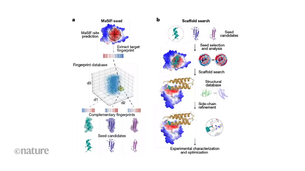 New protein–protein interactions designed by a computer