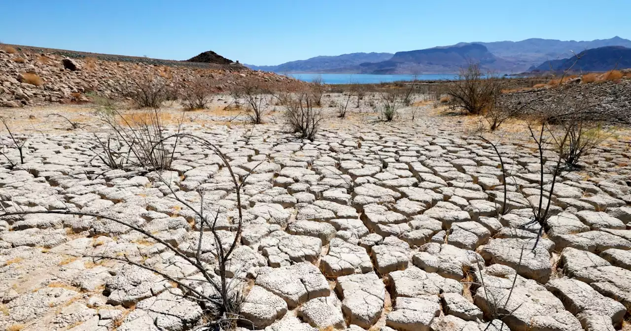 Human remains found at Lake Mead identified as man who disappeared in 1998