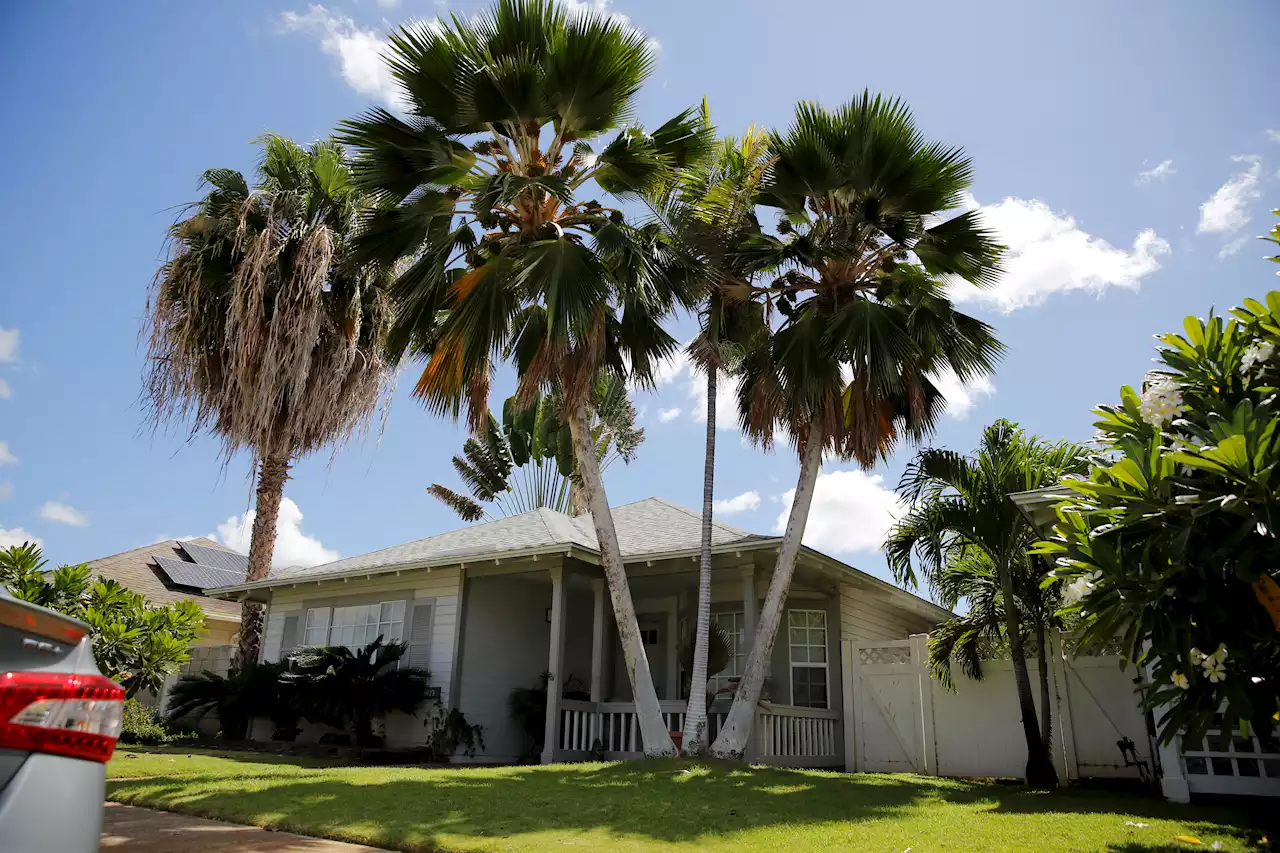 Hawaii Couple Lived Under Stolen Identities of Dead Babies for Decades, Prosecutors Say