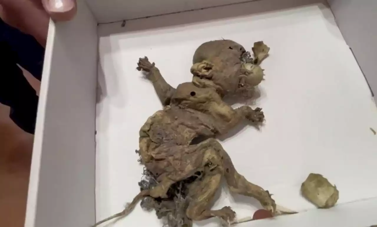 ‘Goblin fetus’ discovered in old warehouse, claims local mayor