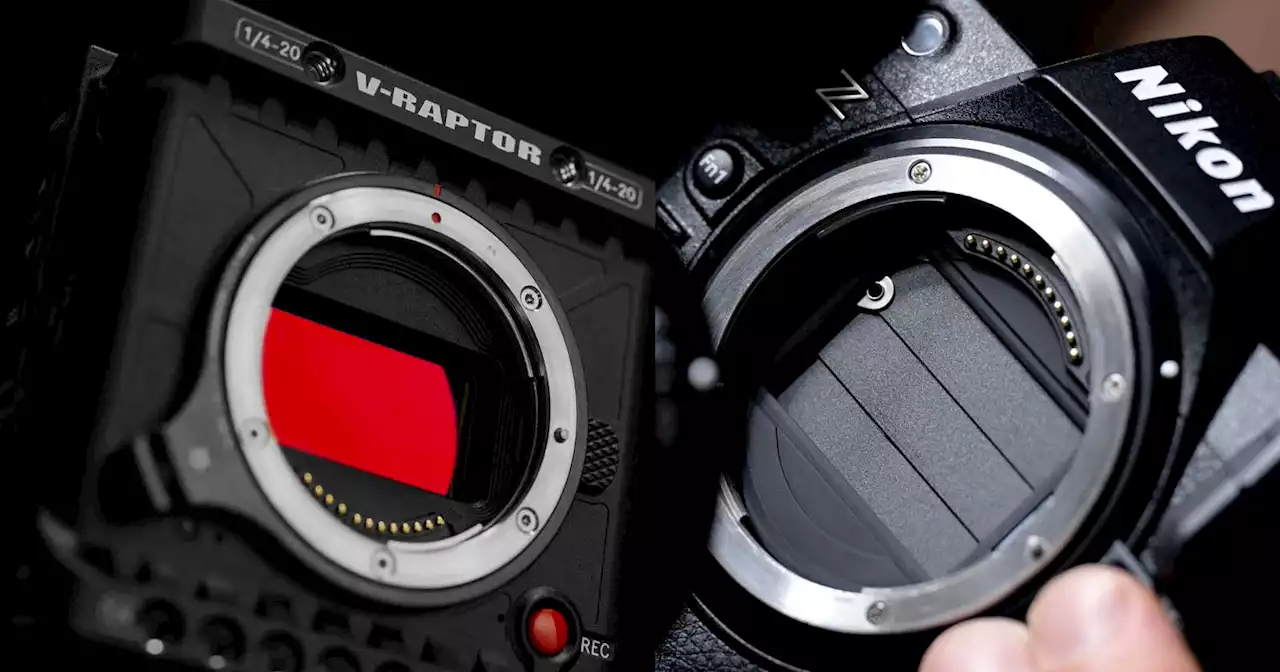 RED's Lawsuit Against Nikon Dismissed: Z9 Gets to Keep Compressed RAW