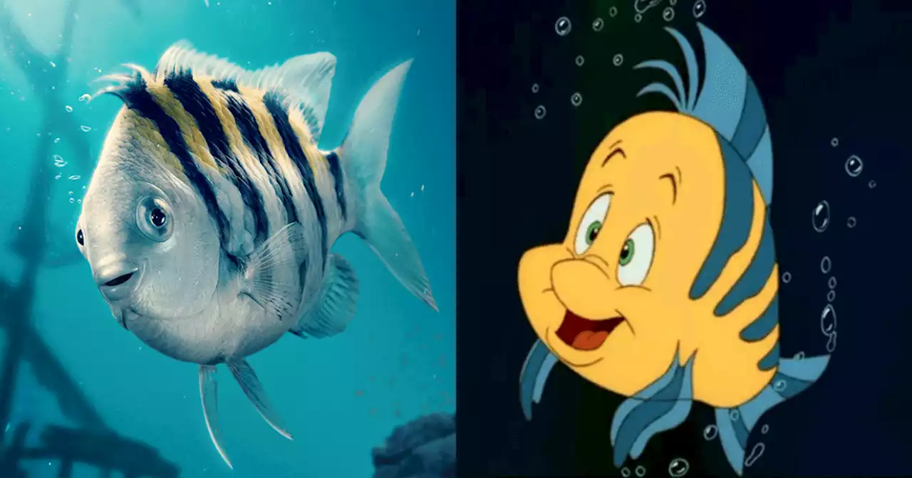 'The Little Mermaid' posters are out, and netizens aren't happy with Flounder's look