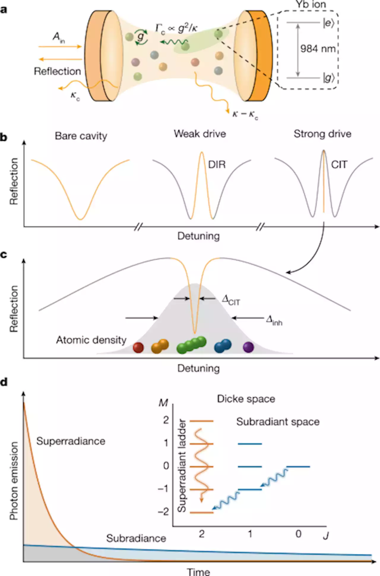 Many-body cavity quantum electrodynamics with driven inhomogeneous emitters - Nature