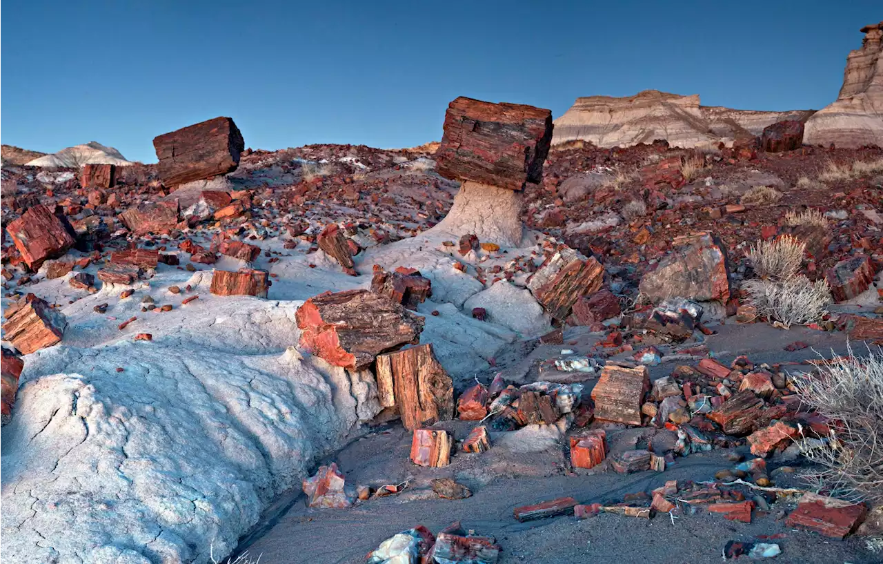 The 10 most underrated national parks in the US