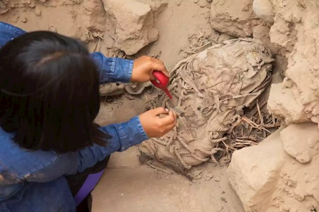 'Está muy bien conservado': descubren en Perú momia de 800 años de un adolescente - Pulzo