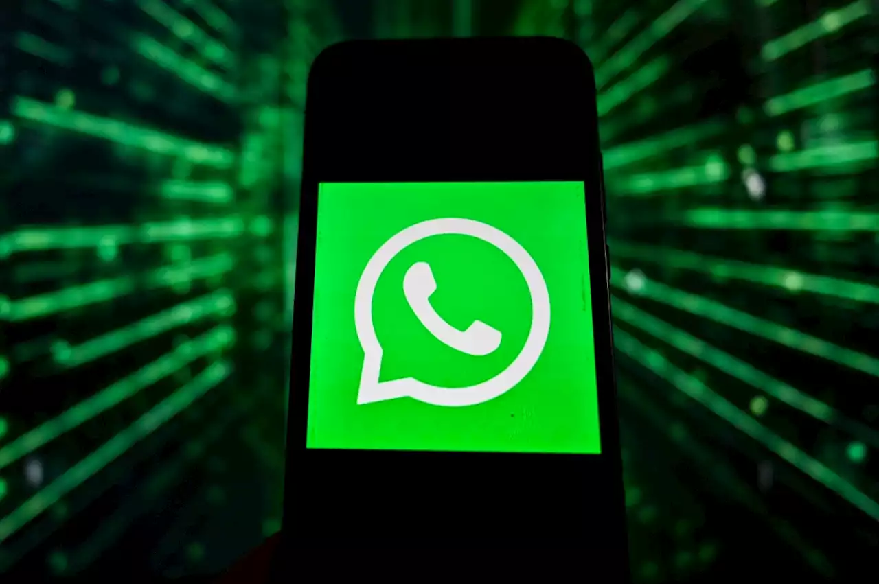 WhatsApp sacó función que enamoró a muchos y facilitará usar el chat en el trabajo - Pulzo