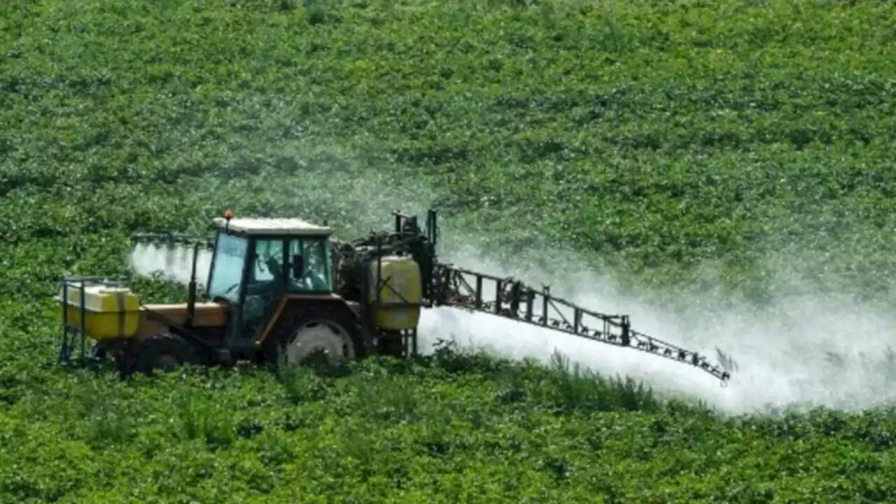 Environnement: l'Europe a des efforts à faire pour réduire l'usage des pesticides