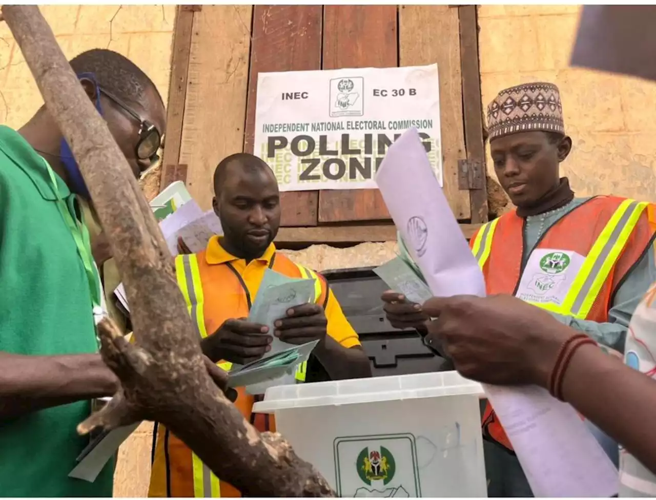 What Nigeria’s election cannot teach does not exist | TheCable