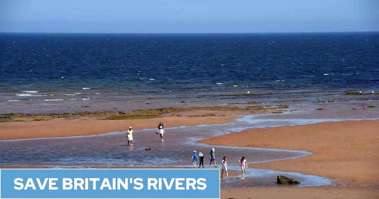 Sewage dumped near award-winning Scottish beaches more than 400 times last year