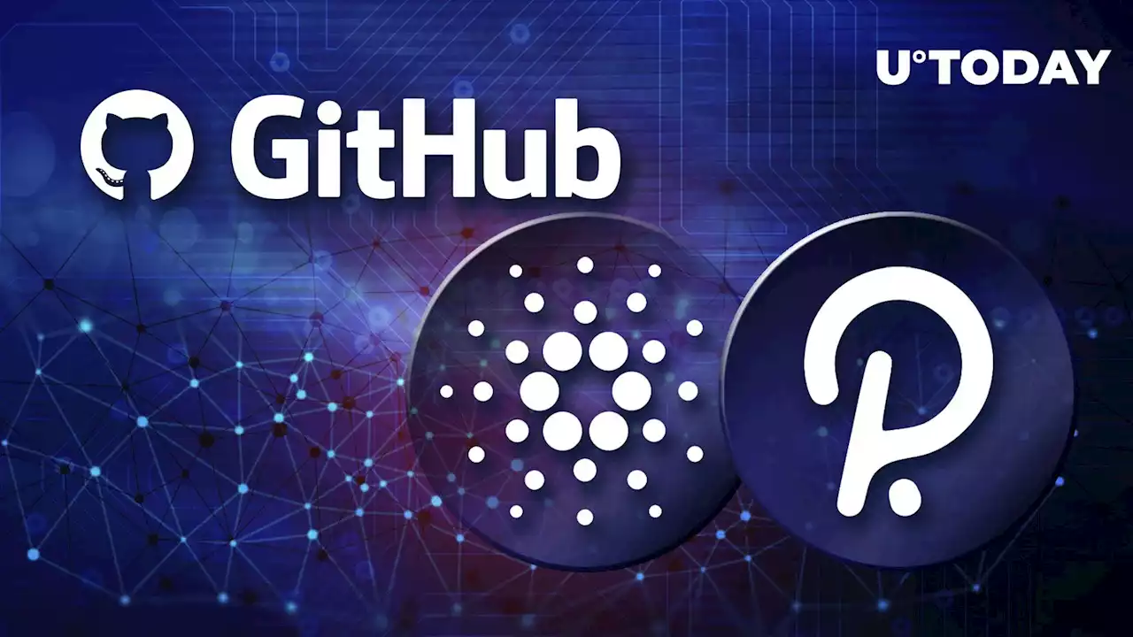 Polkadot and Cardano Dominate GitHub Commit Rankings