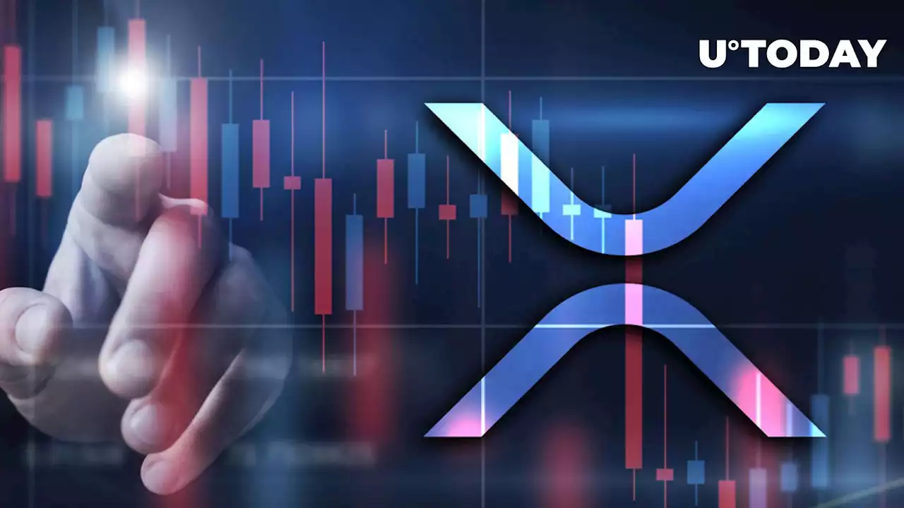 XRP Returns Below Key Level as Market Sell-off Arises: Details