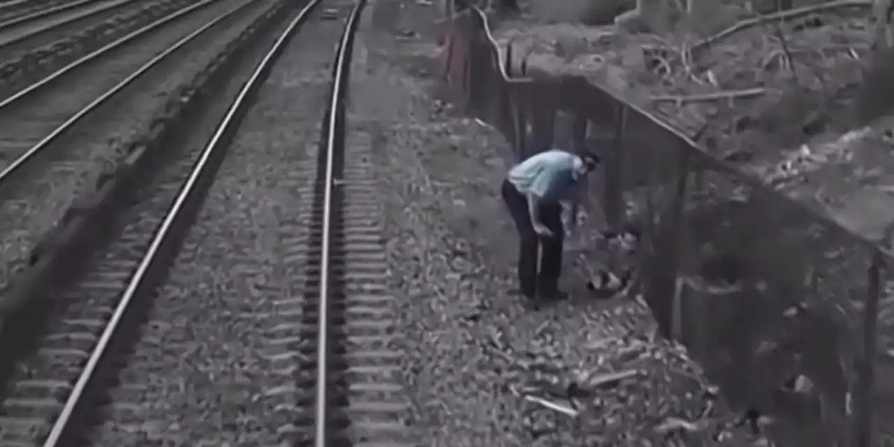 VIDEO: Rail workers stop train to rescue 3-year-old from tracks