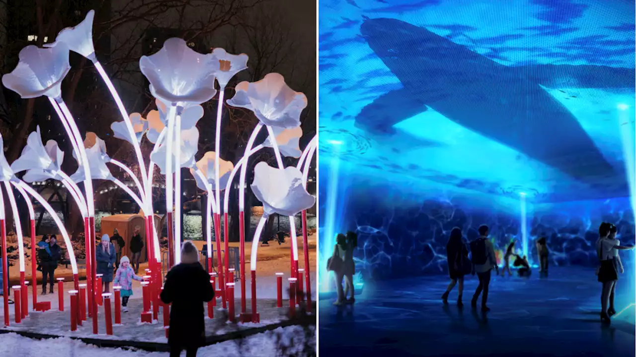 Transport yourself to a futuristic underwater world at this year's i Light Singapore