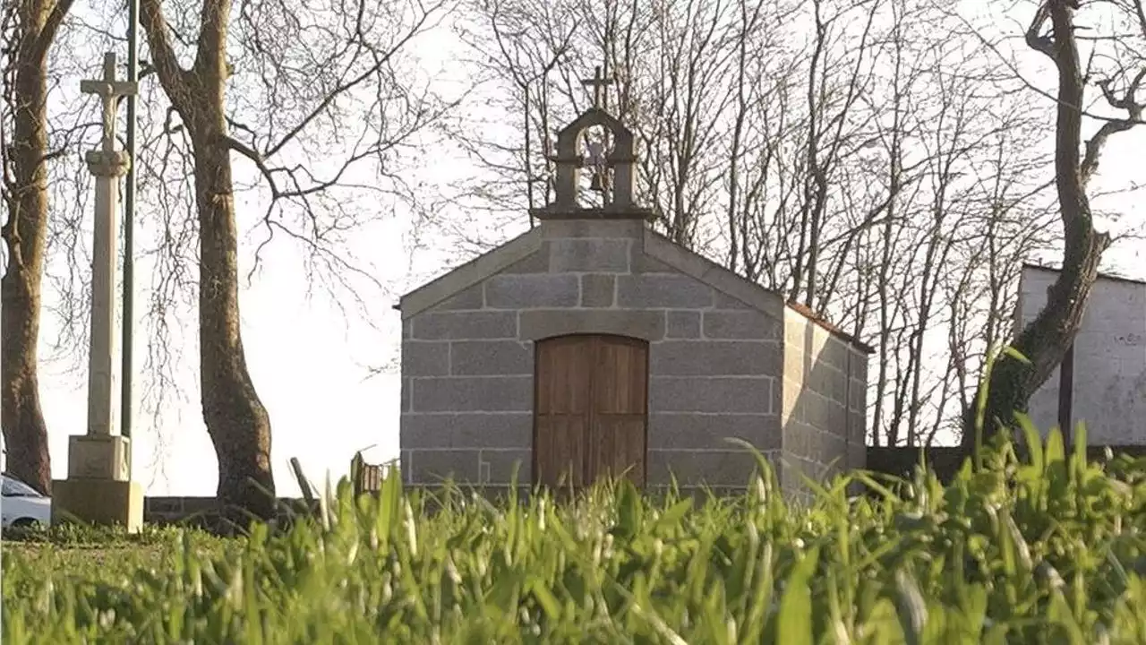 Matan a un árbol centenario en la Parroquia de Meira (Pontevedra) utilizando un taladro y herbicida