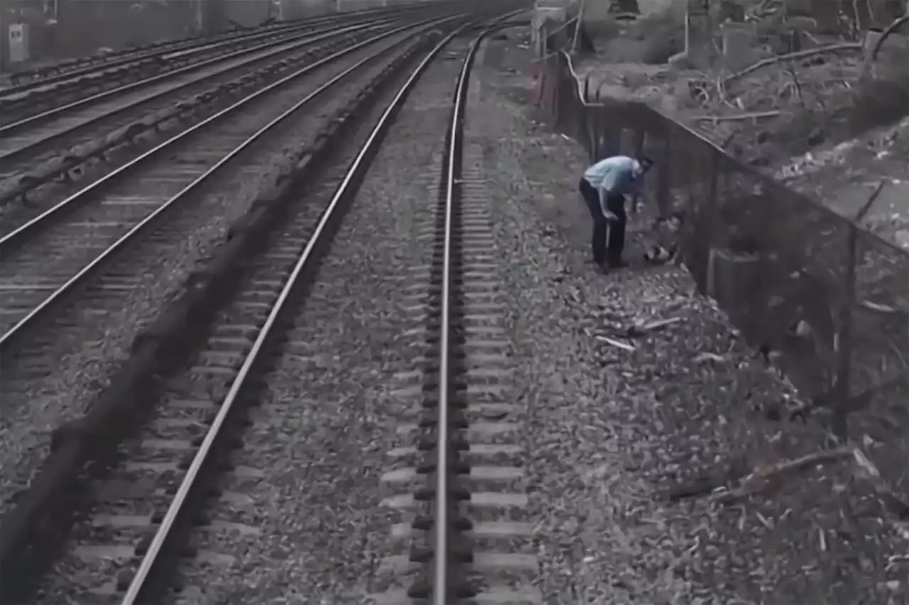 Railroad workers rescue 3-year-old from tracks in New York