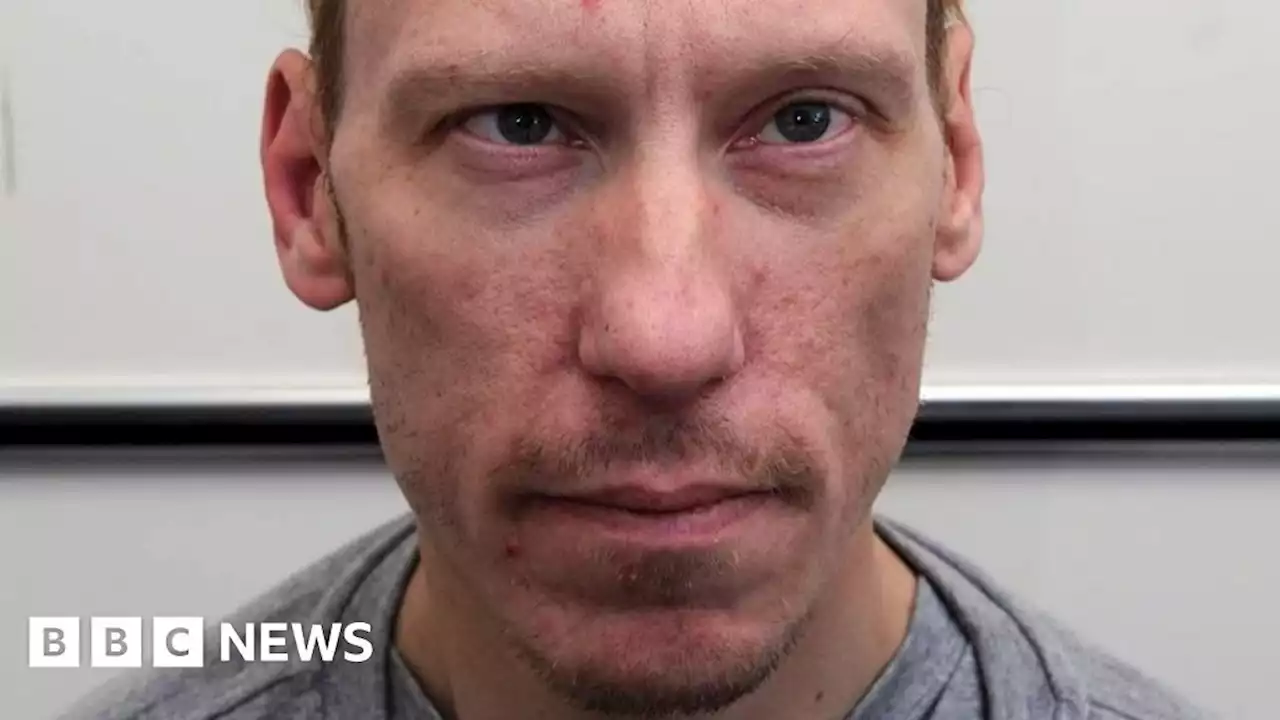 Met Police may be failing to spot serial killers like Stephen Port - watchdog