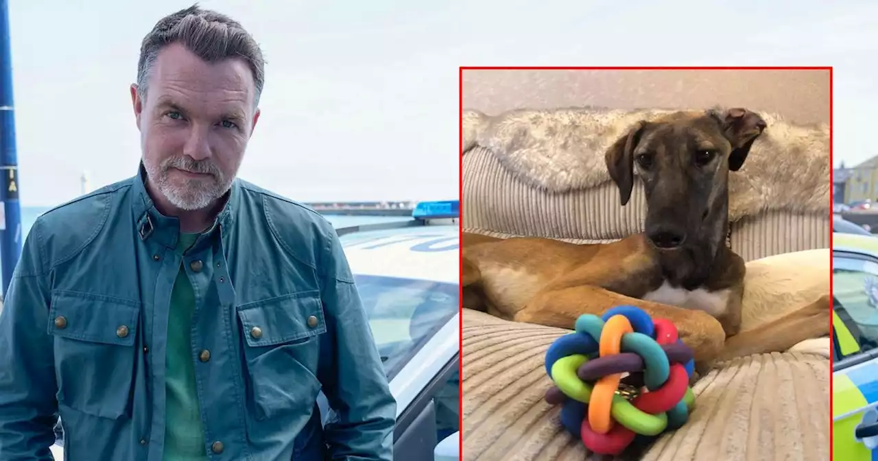 Hope Street actor stops filming to plea for dog starving with rope around neck