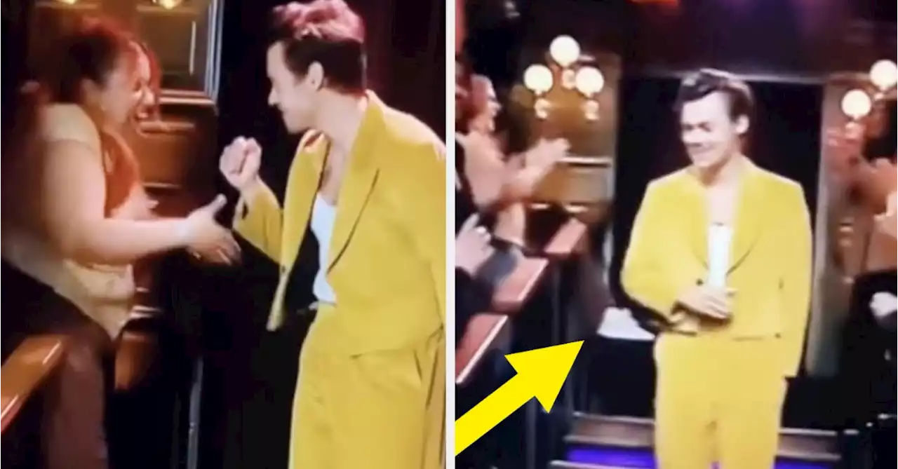 A Harry Styles Fan Is Going Viral After Passing Out After Fist Bumping Him