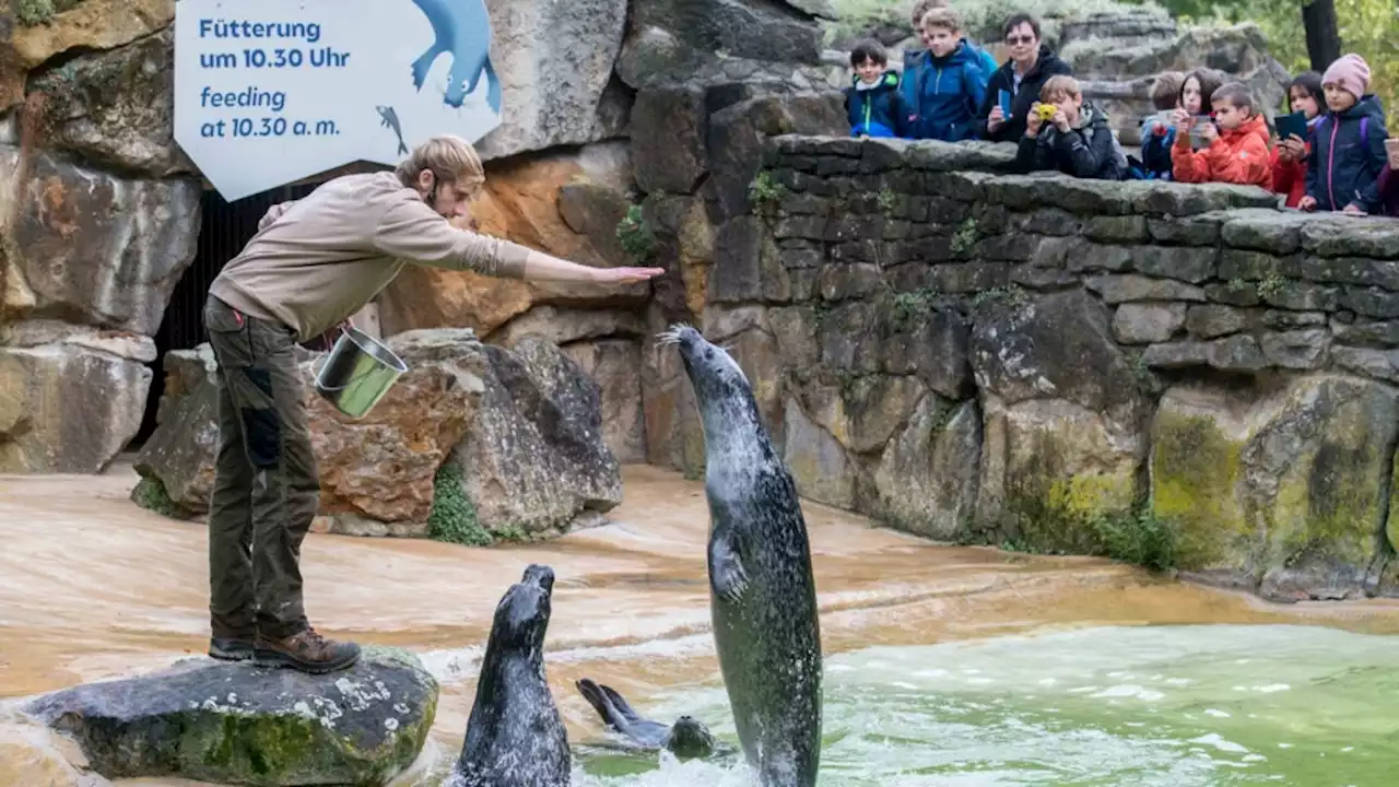 Berlins beliebteste Zoo-Show abgesetzt