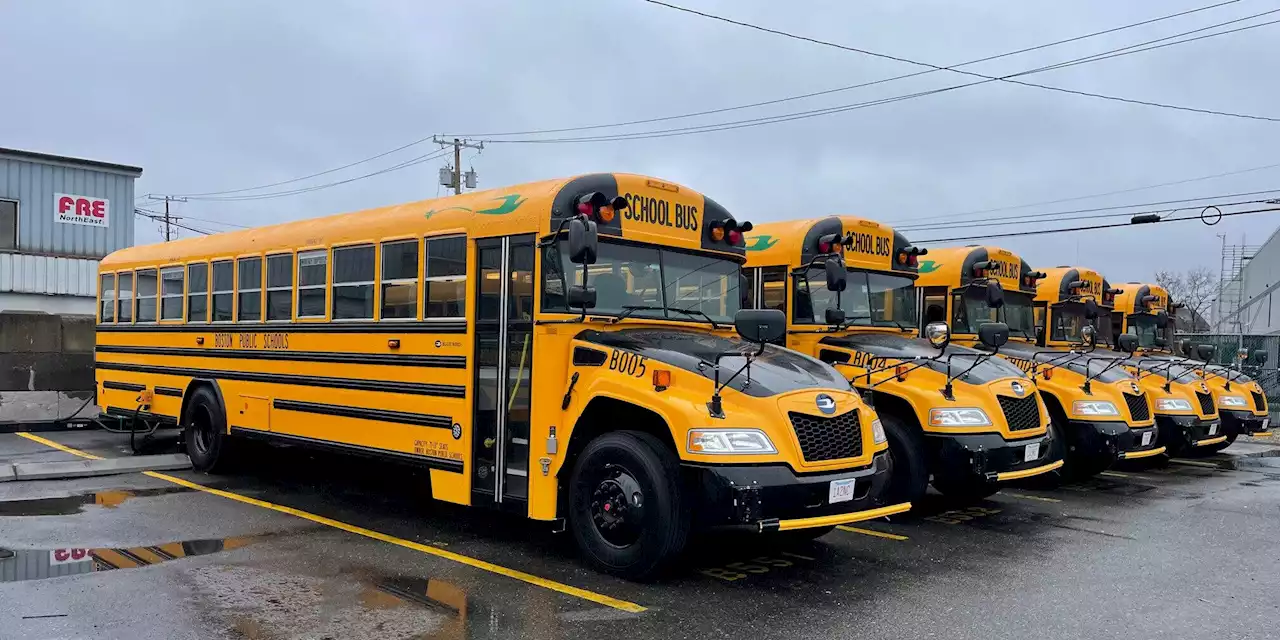 Boston Public Schools Put First 20 Blue Bird Electric Buses Into Operation - CleanTechnica