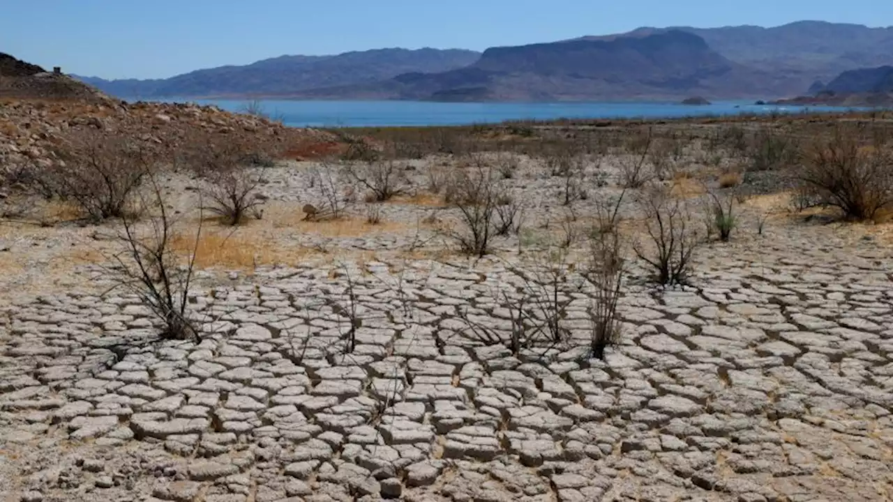 Lake Mead remains identified as a Las Vegas man who disappeared 25 years ago | CNN