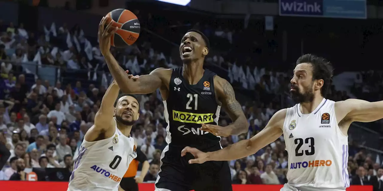 Eurolega, incredibile a Madrid: sospesa Real-Partizan per rissa