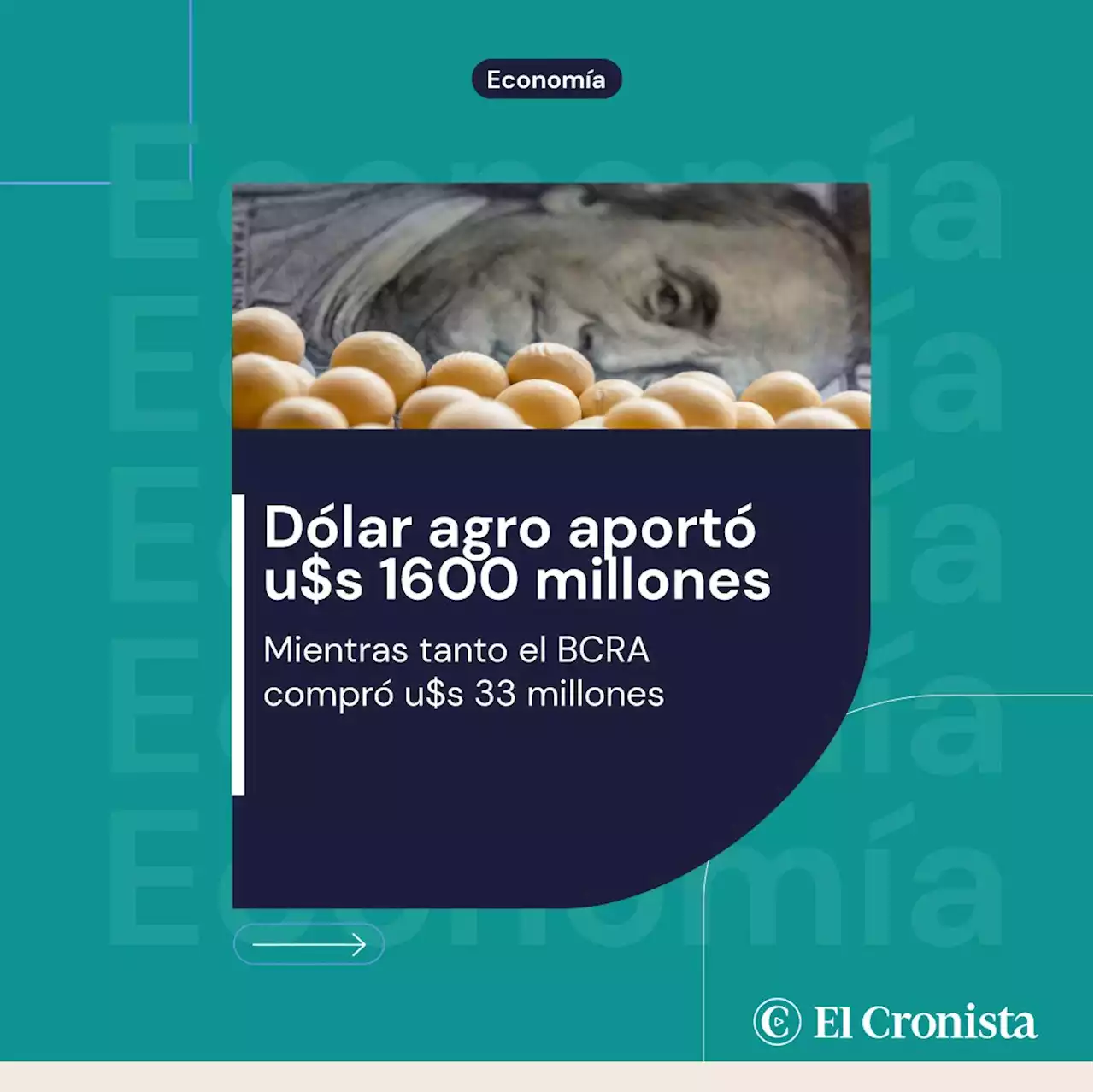 El d�lar agro aport� u$s 1600 millones en abril y el BCRA compr� u$s 33 millones