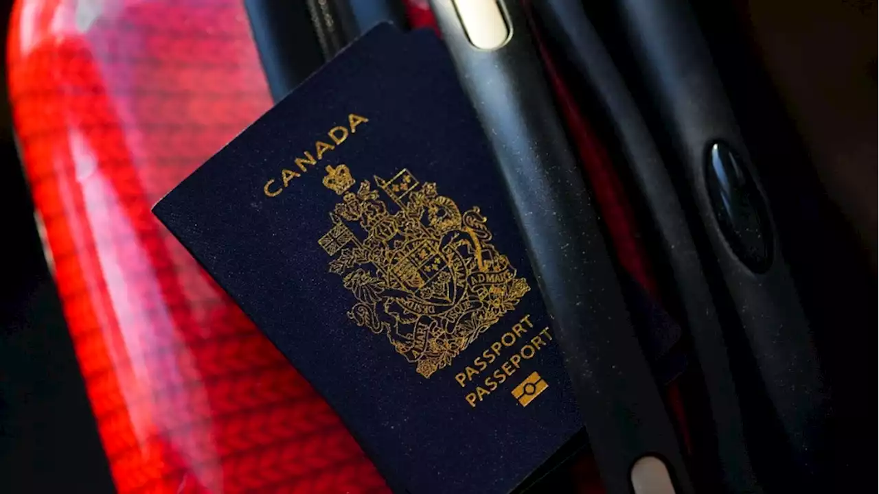 'Uncertainty and anxiety': PSAC strike impacts citizenship oaths, visa renewals and planned trips