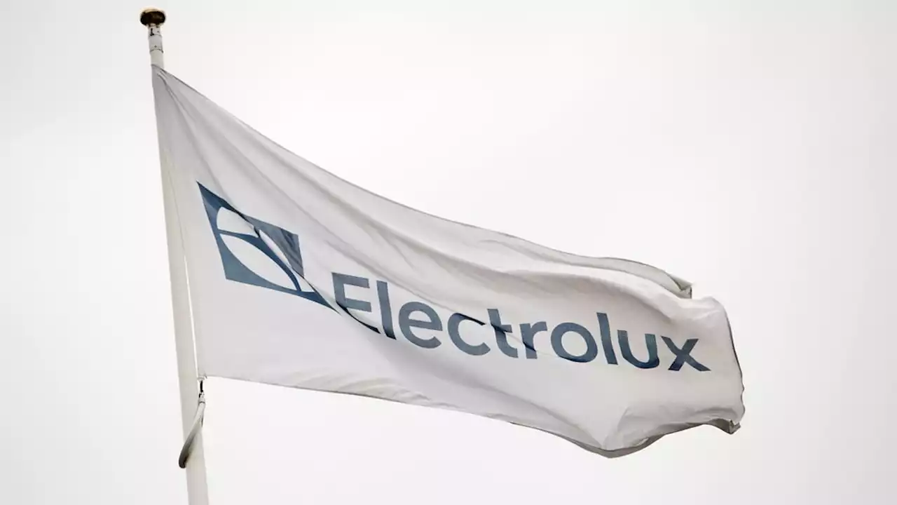 Blandad börs i rapportfloden – Electrolux bästa börsdag på 14 år