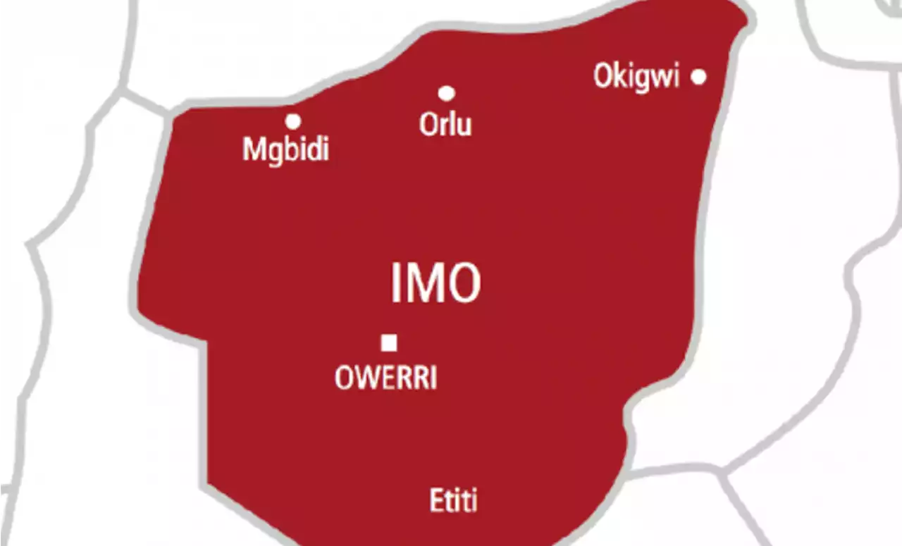 Imo must be rescued from political gangsters - Intersociety