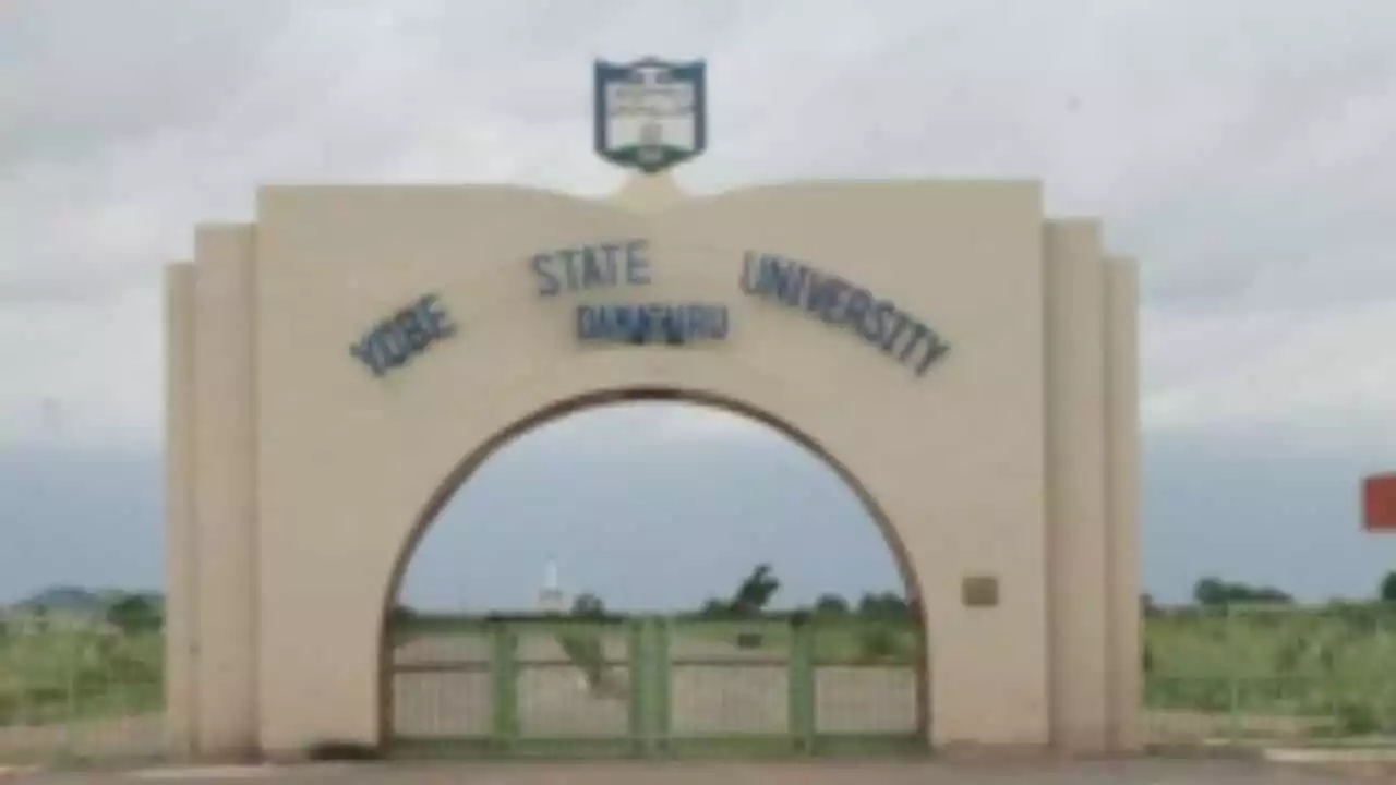 Yobe varsity engineering student slumps, dies after writing exams