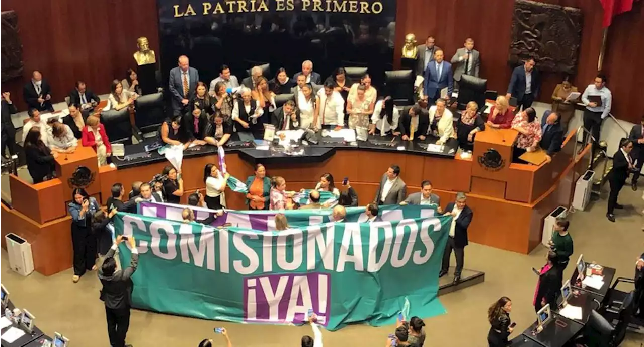 Morena en el Senado vota en contra de propuesta de Ricardo Salgado como comisionado del Inai