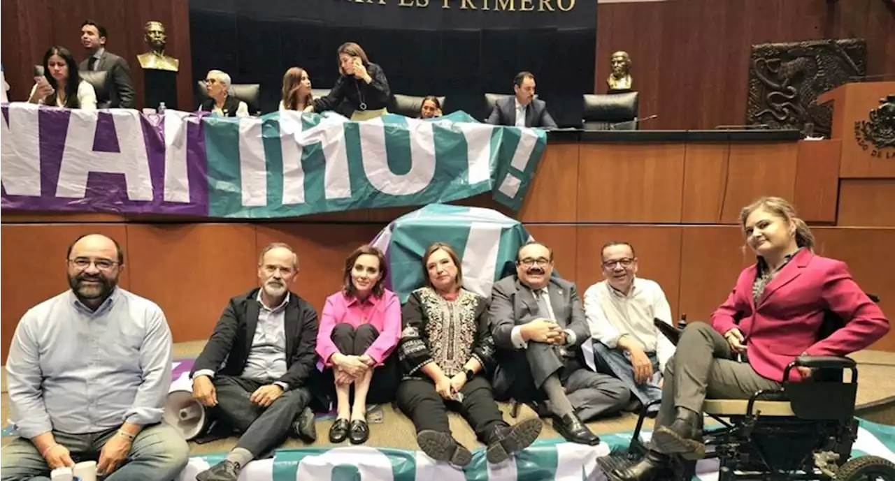 “Ridículos”, dice Citlalli Hernández a senadores de oposición por “pijamada” en tribuna