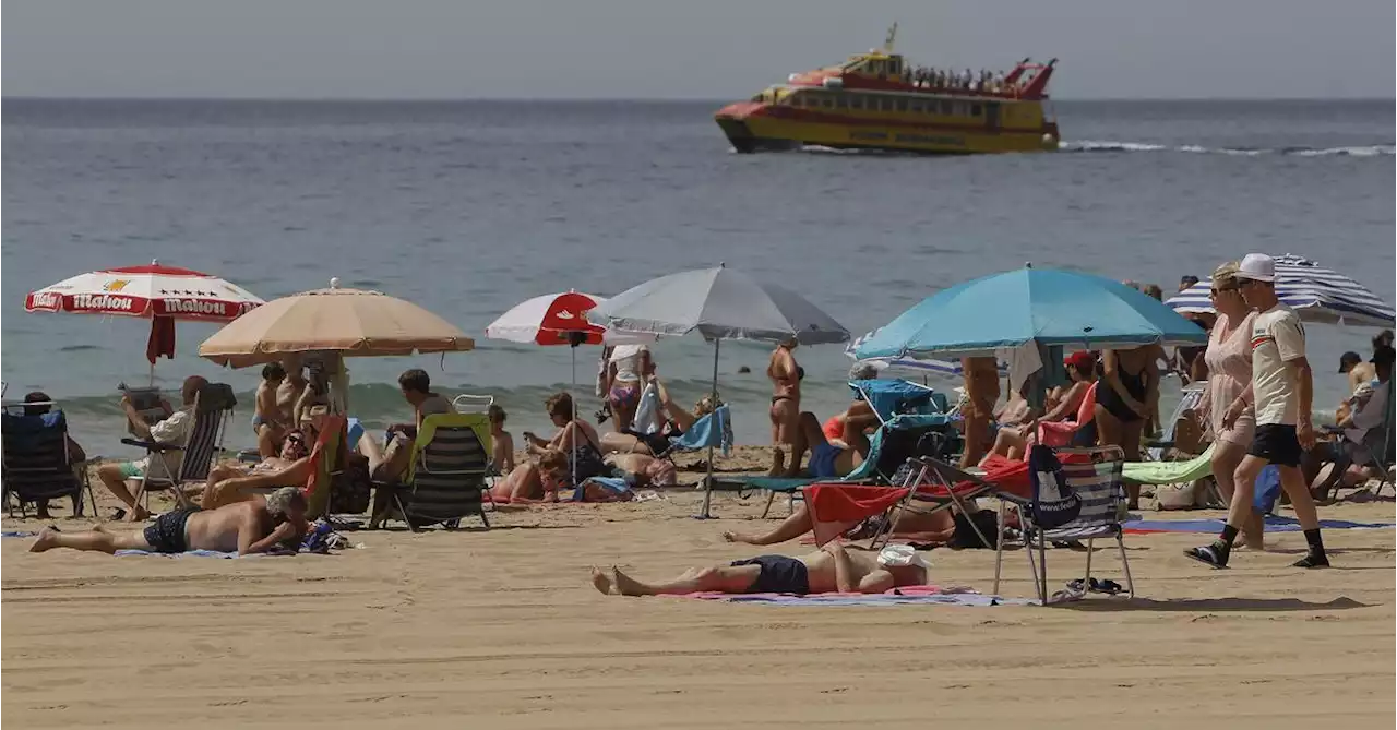 Tregua en el calor: el fin de semana del puente bajarán las temperaturas hasta ocho grados