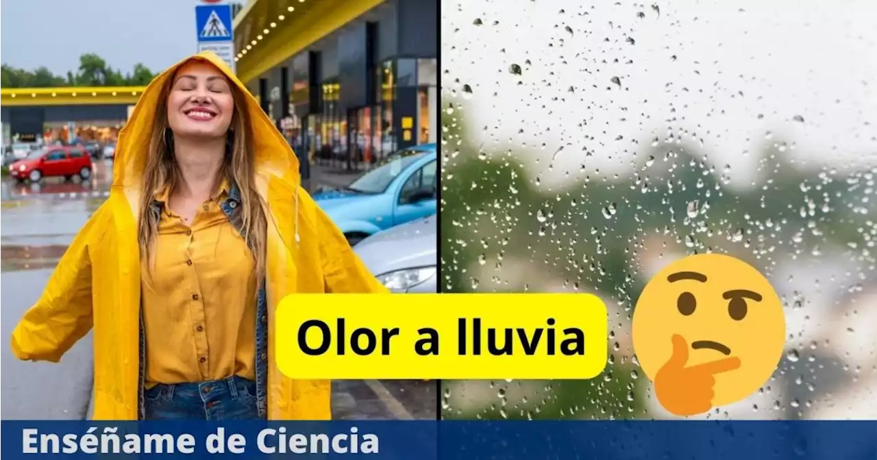 ¿Cómo se llama el olor a lluvia? La RAE responde a la consulta