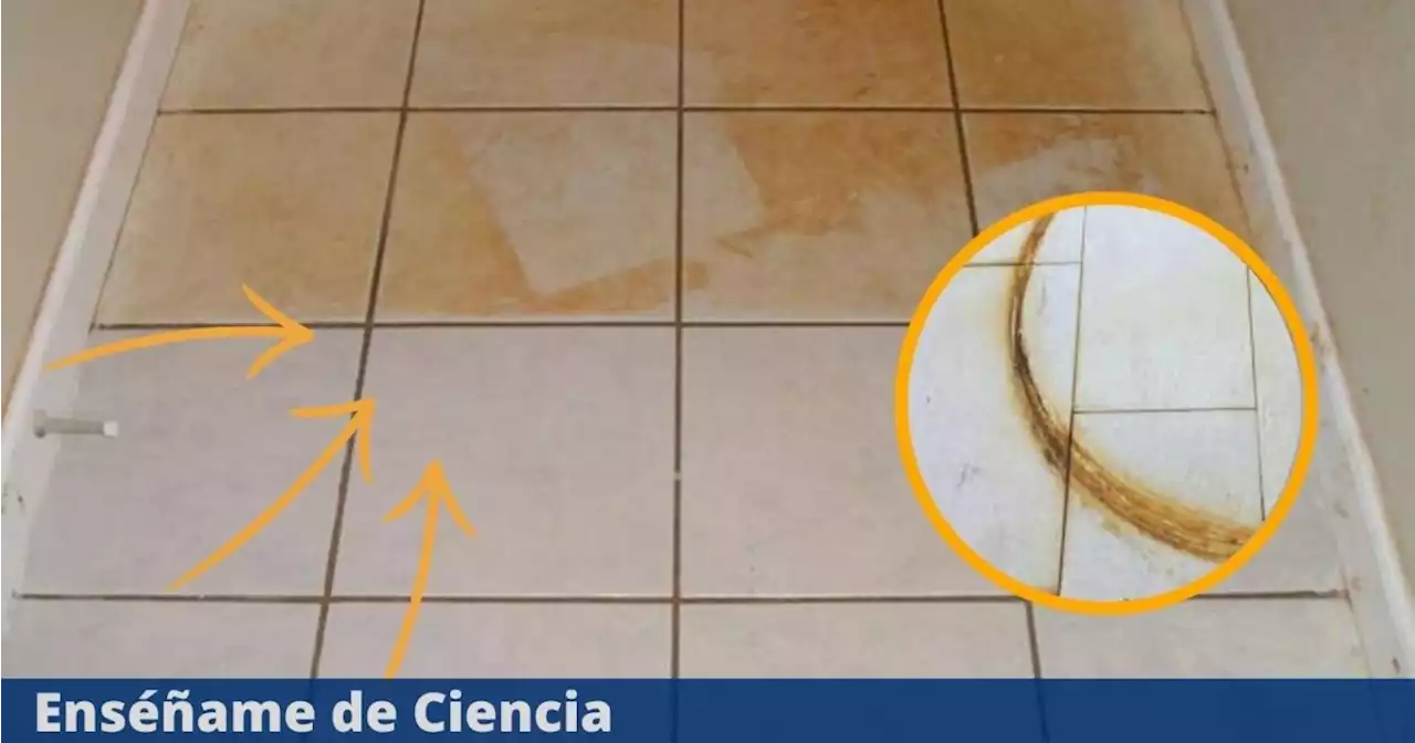 El ingrediente casero ideal para eliminar las manchas de óxido del piso en pocos minutos