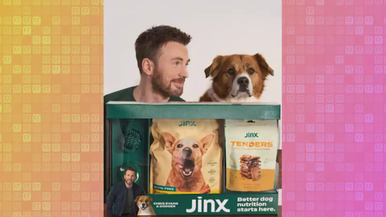Chris Evans Gives Adorable Interview With His Dog Dodger