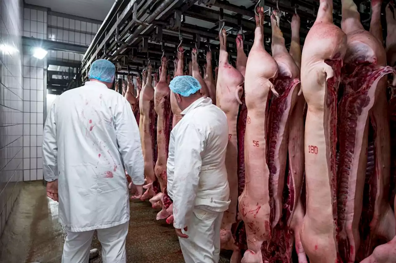 Suite à plusieurs défaillances sanitaires, l'activité de l'abattoir de Saint-Affrique est suspendu par arrêté préfectoral