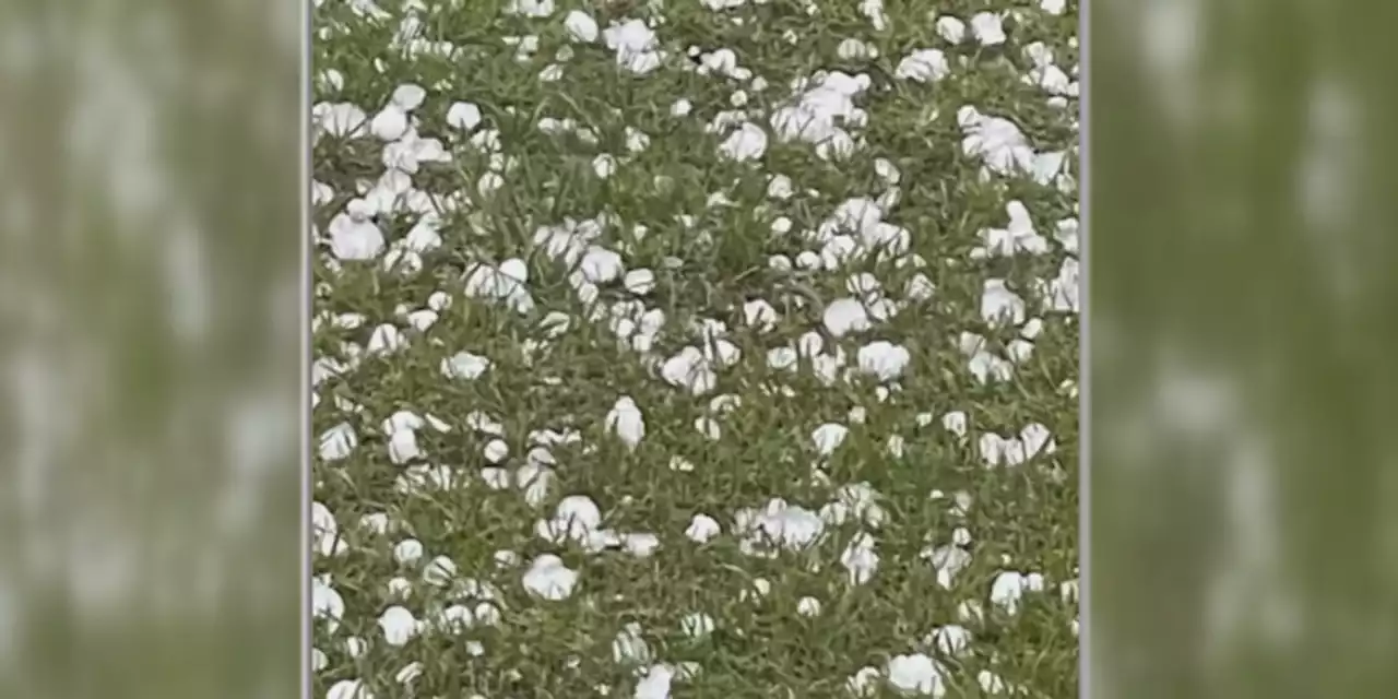 ‘It was the craziest thing I’ve ever seen’; golf ball sized hail plummets Jackson County, Mississippi