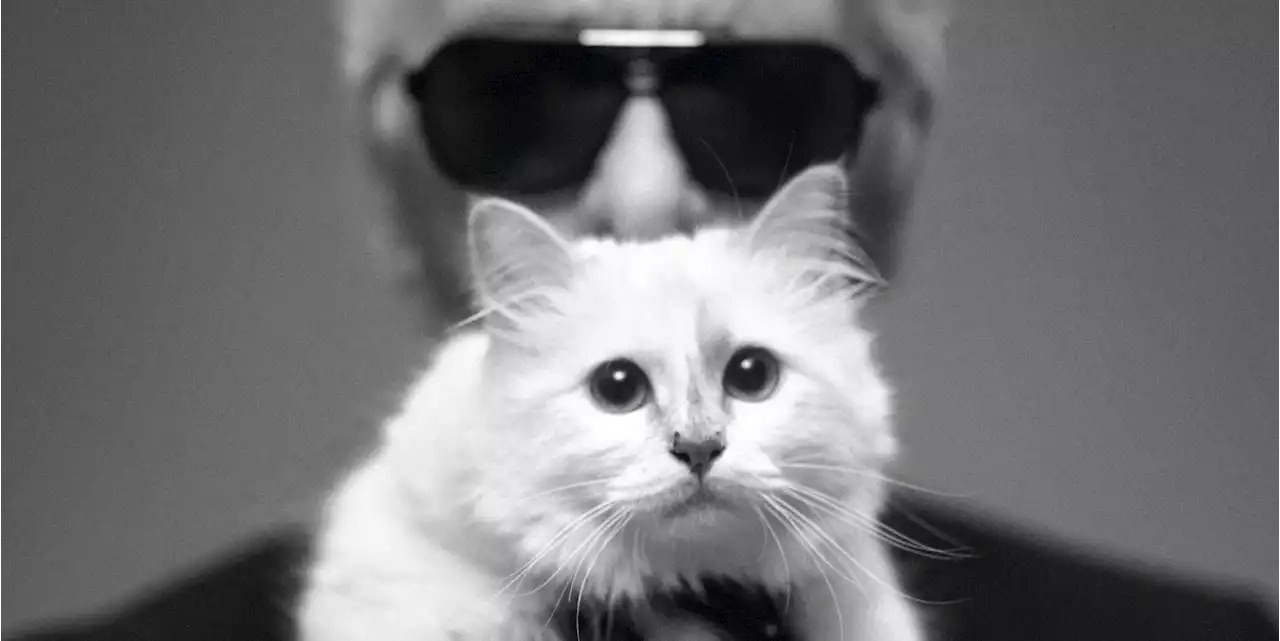 Everything to Know About Karl Lagerfeld's Impossibly Chic Cat, Choupette