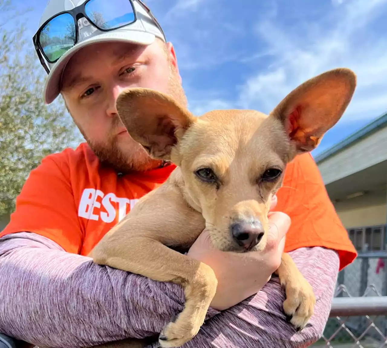 National Adopt A Shelter Pet Day Aims to Get Animals Out and Adopted